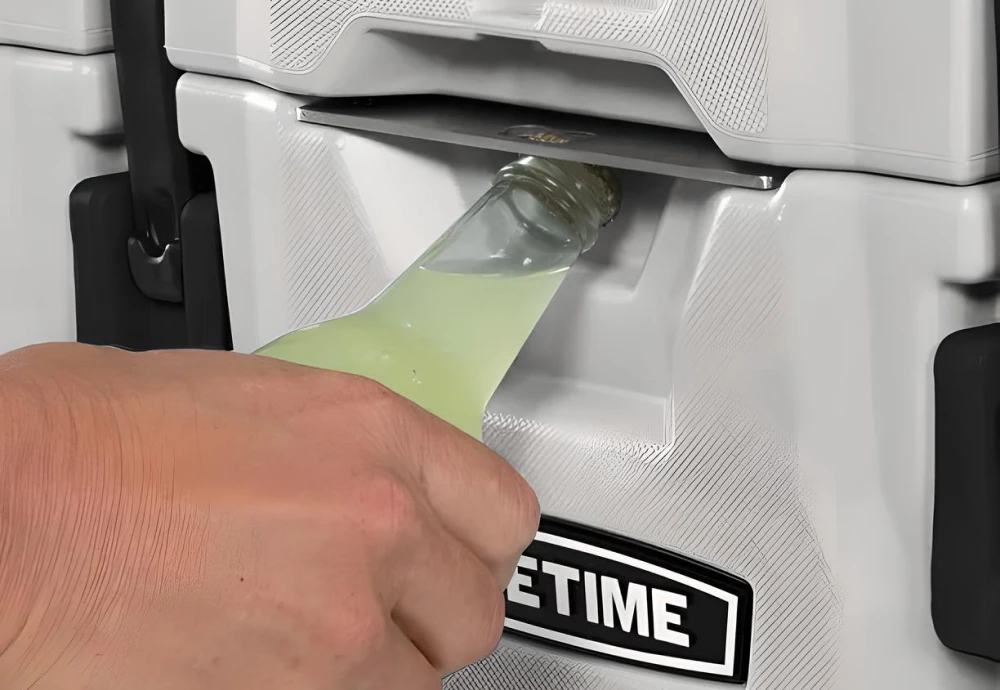 ice box cooler for car