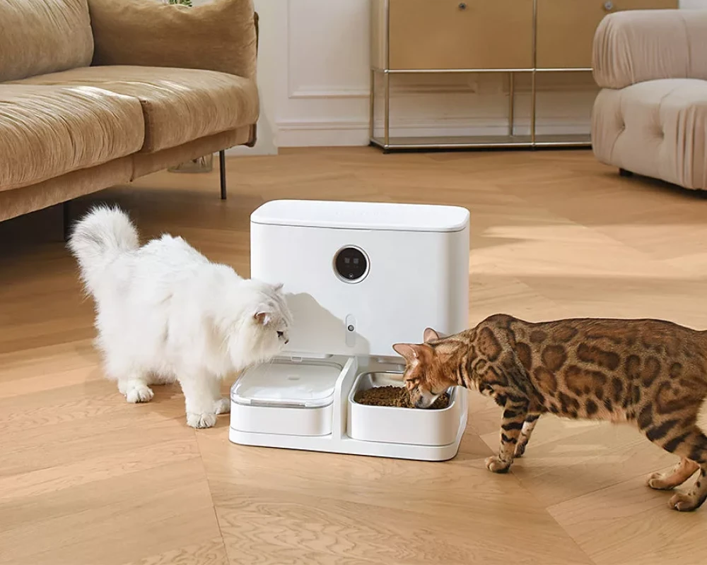 best automatic pet feeder with camera